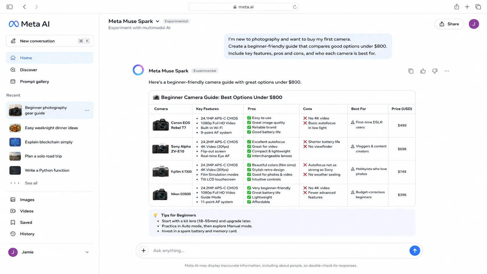 Meta Muse Spark chat interface on meta.ai showing multimodal input and model response